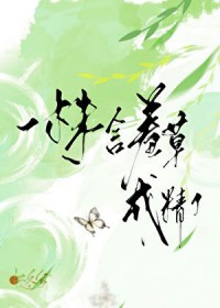 背影（校园 1V1）