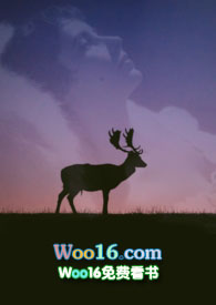 beta，但情绪稳定