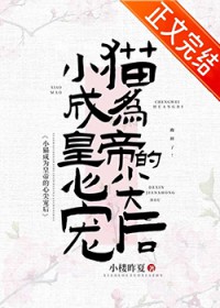 病猫胆小但会撩