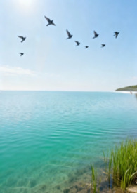 误把阴湿反派当成官配后