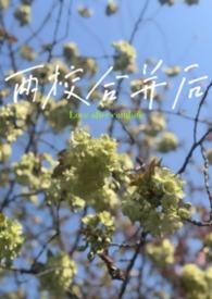 被迫女扮男装后