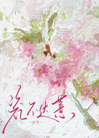 流浪苹果与柏拉图