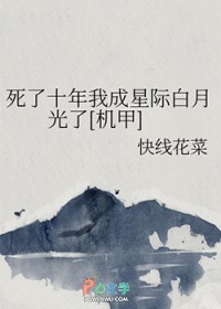 [排球少年同人] 跟着黑尾学养猫