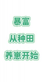 在合欢宗当纯爱战神