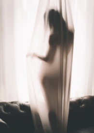 昭夫人她宠冠后宫