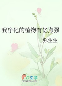 无字史记（出版书）