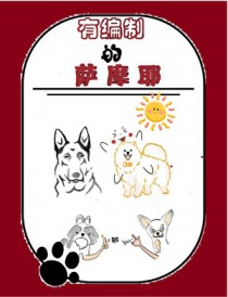 落魄山神，在线还债