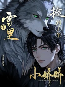 我靠代购做首富[七零]