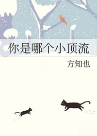 黑弥撒：双子虐臀实录