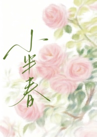 我的世界双穿门