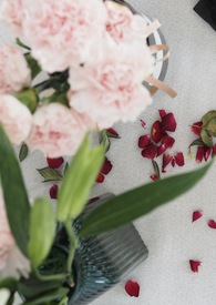 救赎破碎师兄后被缠上了