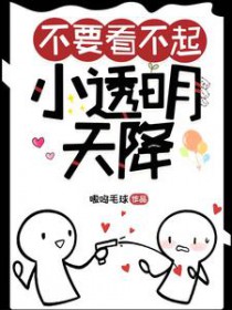 十九世纪换嫁情缘