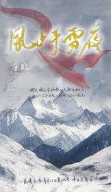 天龙八部之风流林枫