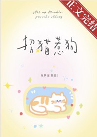 我靠做饭打遍修仙界