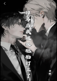 穿越民国：谍影入局